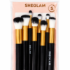 brush collection
